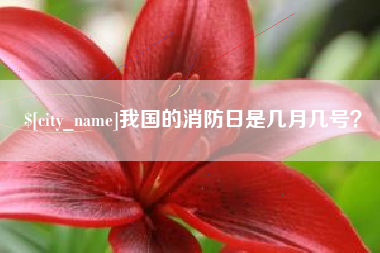 如皋我国的消防日是几月几号？
