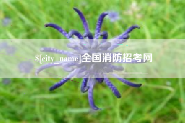 如皋全国消防招考网