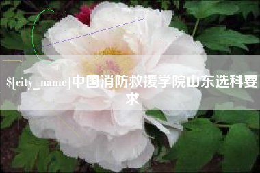 如皋中国消防救援学院山东选科要求