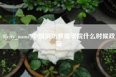 如皋中国消防救援学院什么时候政审