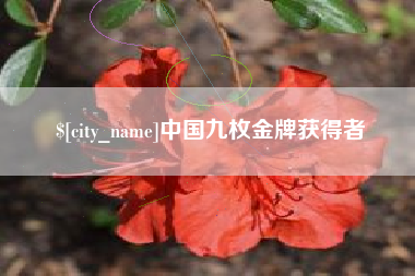 如皋中国九枚金牌获得者