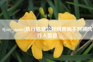 如皋执行信息公开网查询不到被执行人信息