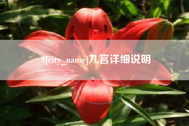 如皋九宫详细说明