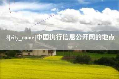 如皋中国执行信息公开网的地点