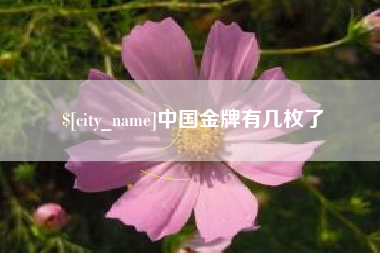 如皋中国金牌有几枚了