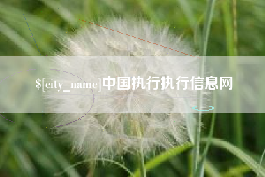 如皋中国执行执行信息网
