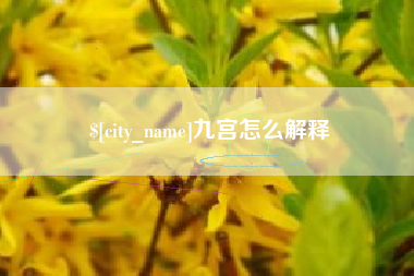 如皋九宫怎么解释