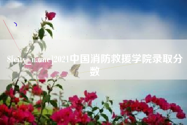 如皋2021中国消防救援学院录取分数