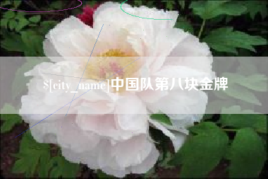 如皋中国队第八块金牌