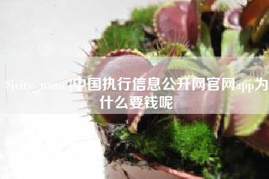 如皋中国执行信息公开网官网app为什么要钱呢