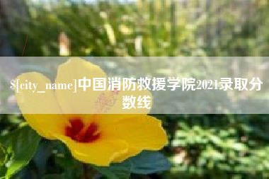 如皋中国消防救援学院2021录取分数线