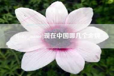 如皋现在中国哪几个金牌