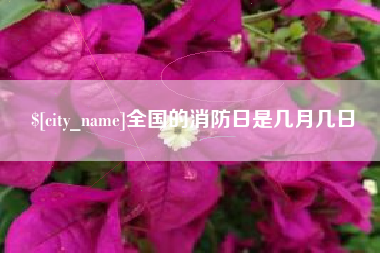 如皋全国的消防日是几月几日