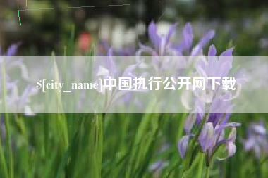 如皋中国执行公开网下载