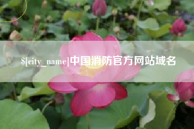 如皋中国消防官方网站域名