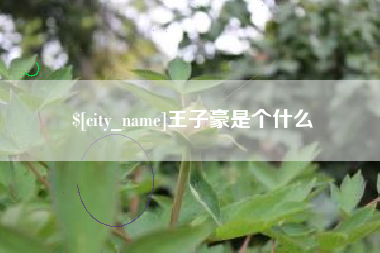 如皋王子豪是个什么