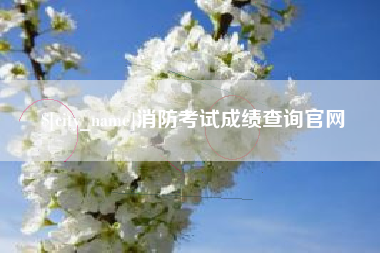 如皋消防考试成绩查询官网