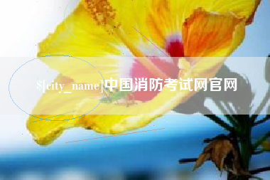 如皋中国消防考试网官网