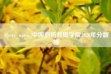 如皋中国消防救援学院2020年分数线