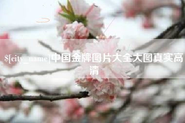 如皋中国金牌图片大全大图真实高清