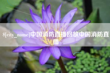 如皋中国消防直播回放中国消防直播