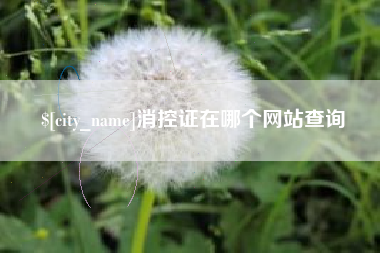 如皋消控证在哪个网站查询