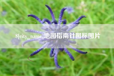 如皋地图指南针图标图片