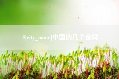 如皋中国的几个金牌