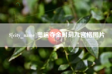 如皋奥运夺金时刻九宫格图片