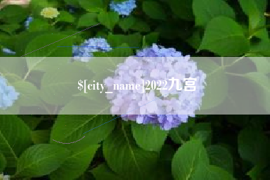 如皋2022九宫