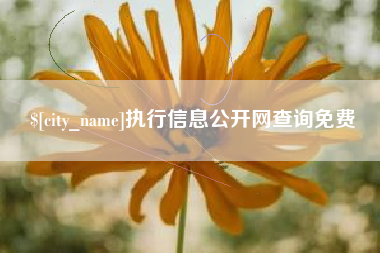 如皋执行信息公开网查询免费