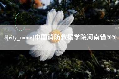 如皋中国消防救援学院河南省2020